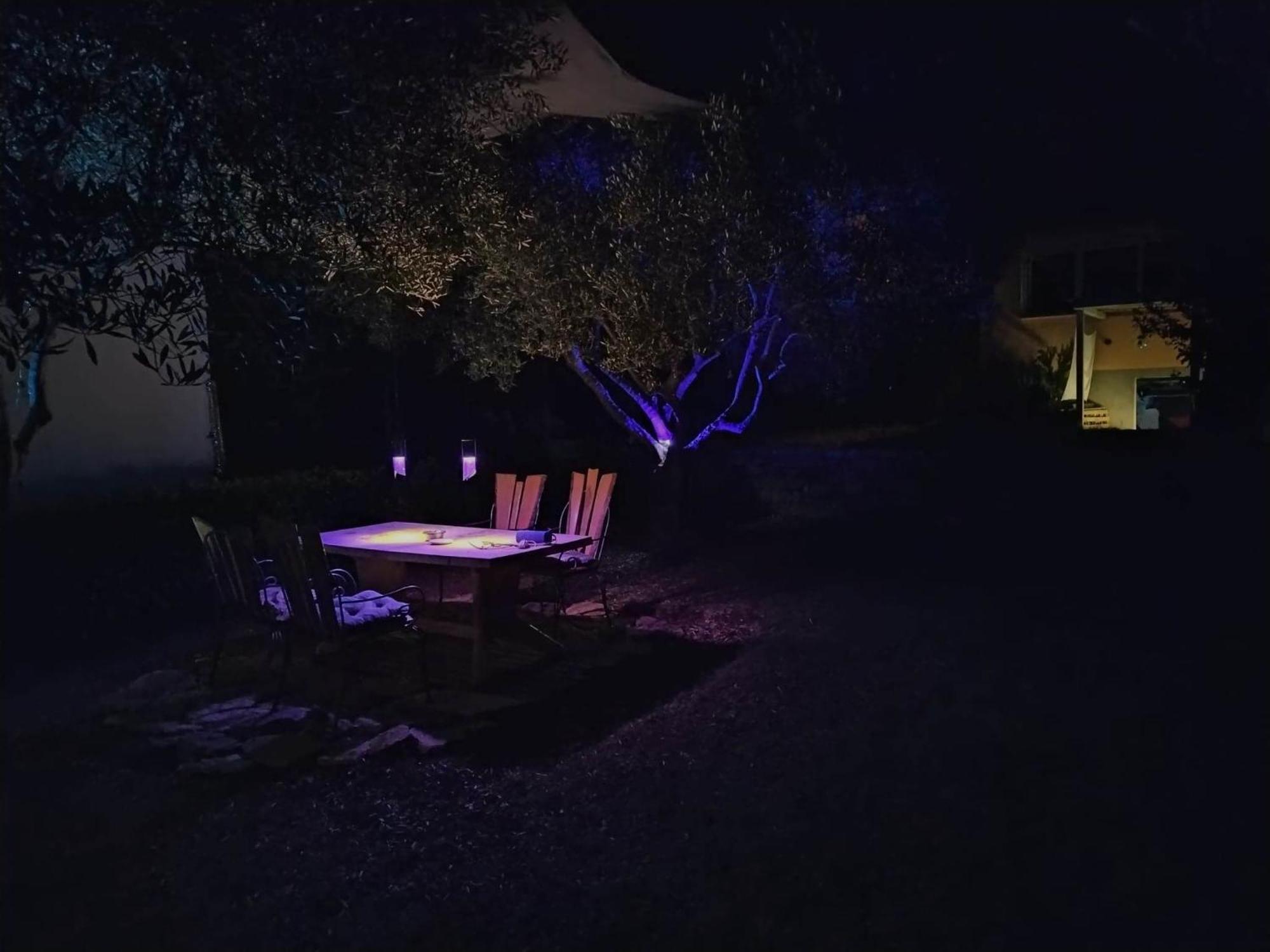 Oliver Art Apartment Poreč Kültér fotó